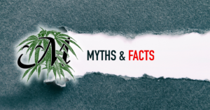 Dispelling Myths Debunking Common Misconceptions About Cannabis