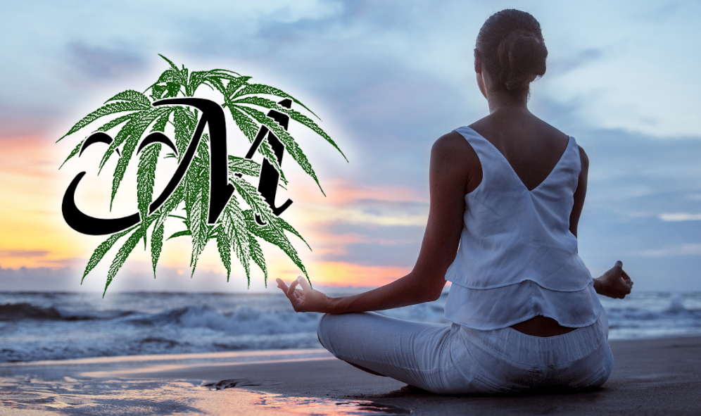 Balancing Busy Life with Cannabis Mindful Tips for Maine Resident