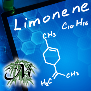 Limonene and Linalool in Cannabis Strains