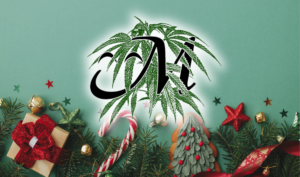 Revitalize Your Winter Holidays With Curated Cannabis Strains