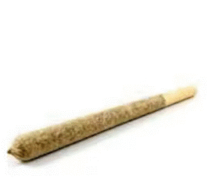 Jet Fuel Gelato cannabis pre-roll