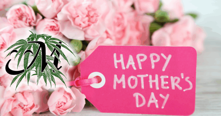 Mother’s Day Gifts from Mystique of Maine Thoughtful and Natural
